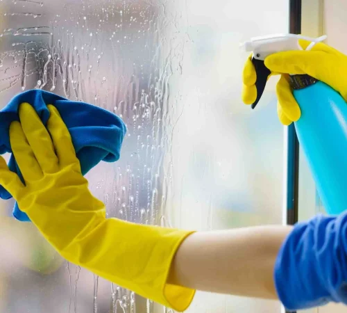 house+cleaning