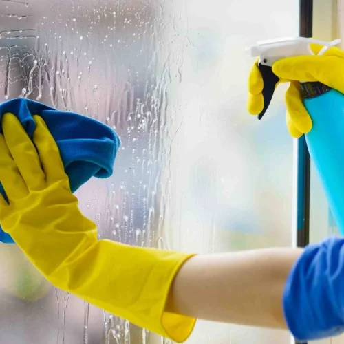 house+cleaning